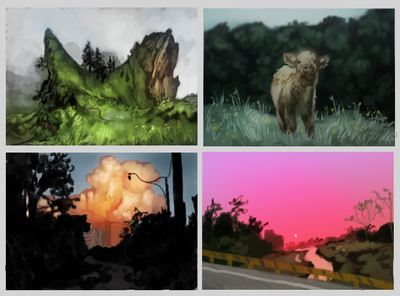 multiple quick studies of animals and environments